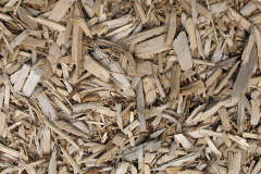 biomass boilers Glasinfryn